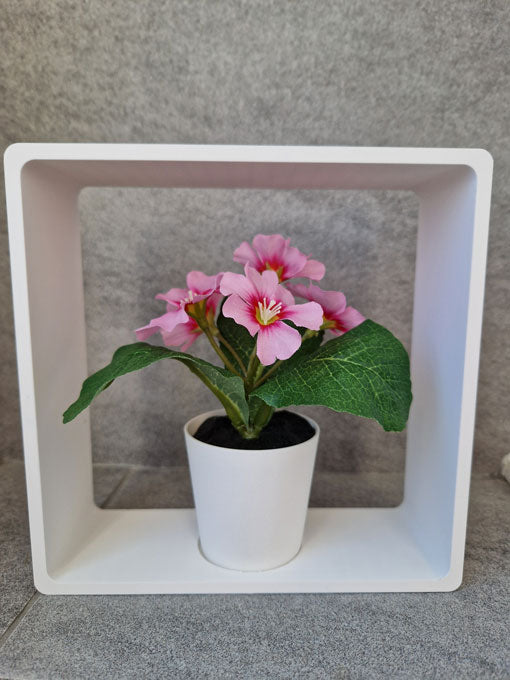 Florea frame