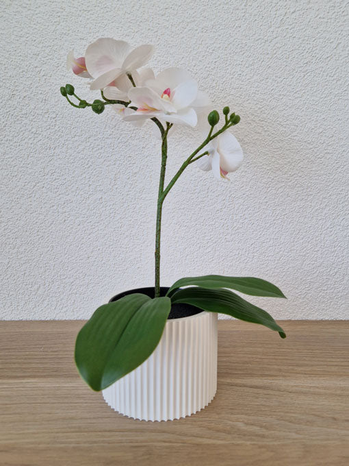Nimbo Blumentopf
